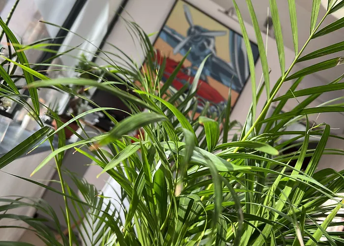 ホテル Vieille Tour